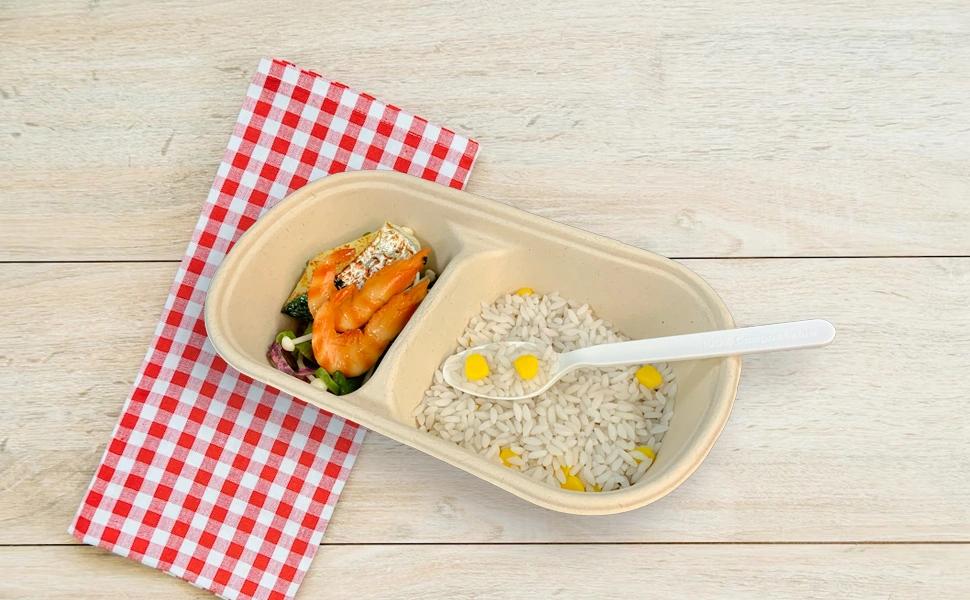 2 Compartment Bagasse Packaging Food Tray